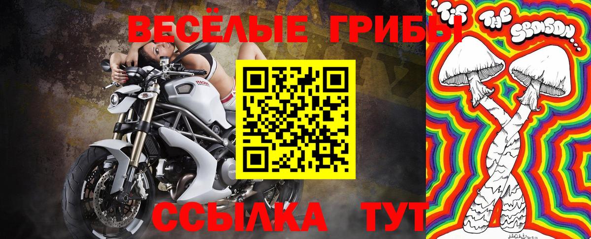 Псилоцибиновые грибы Cubensis  Вход с VPN  Сокол 